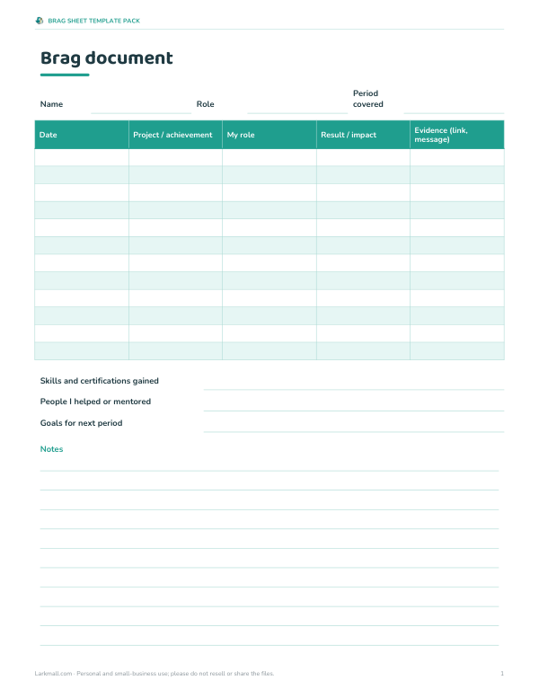 Preview of Professional Brag Sheet Example